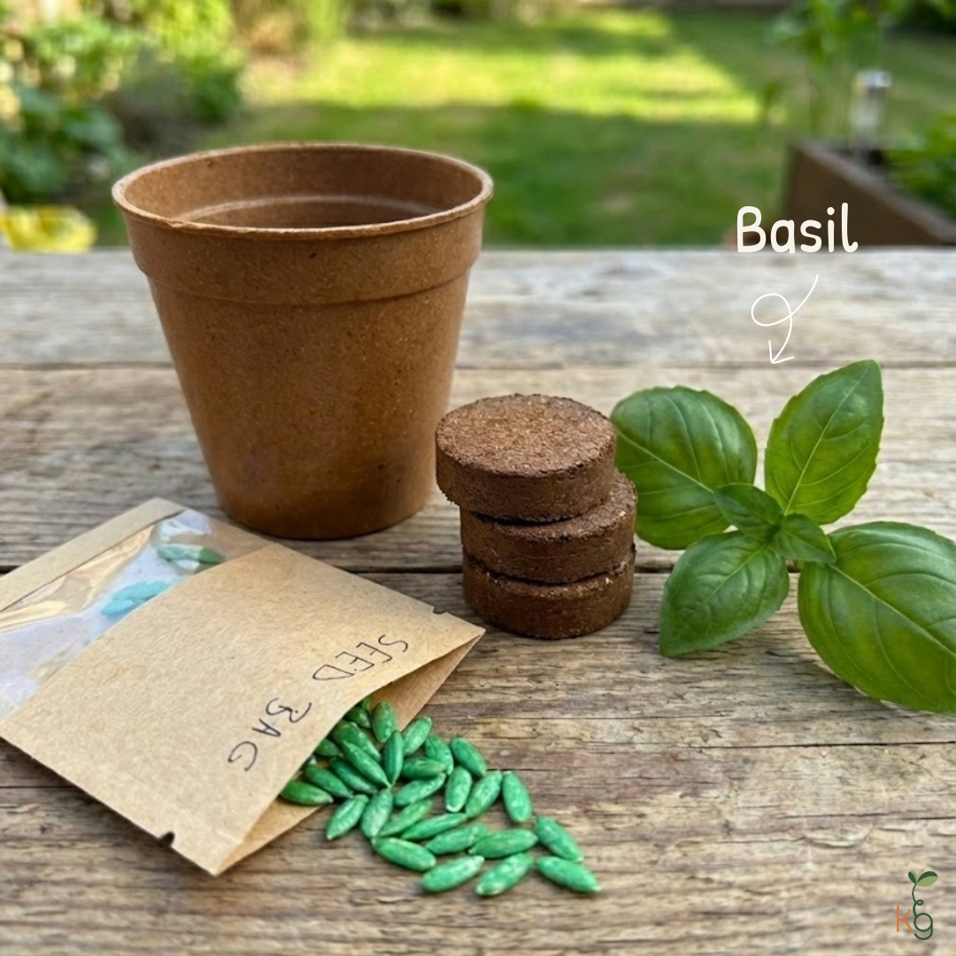 Grow Your Own Basil with Small Pot