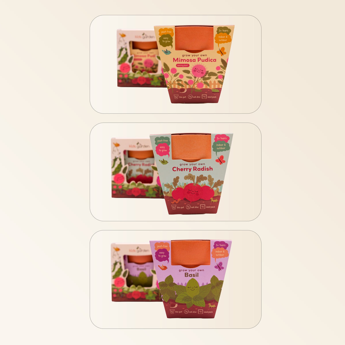 Kids Garden Party Pack (Box of 12)