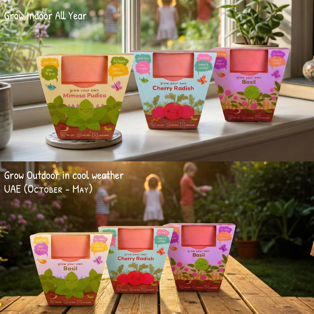Kids Garden growing guidance for indoor and outdoor conditions