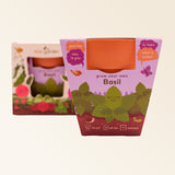 Basil Grow Kit