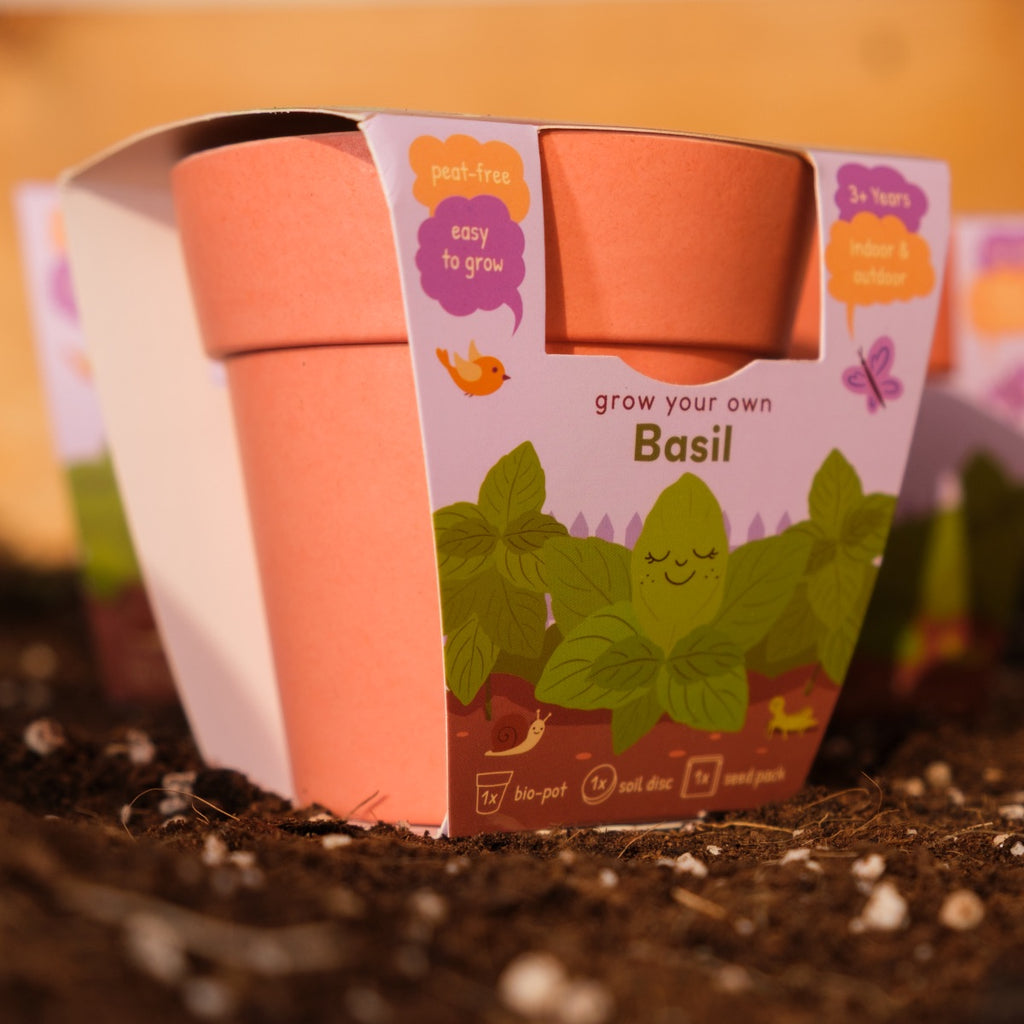 Kids Garden Party Pack (Box of 12)