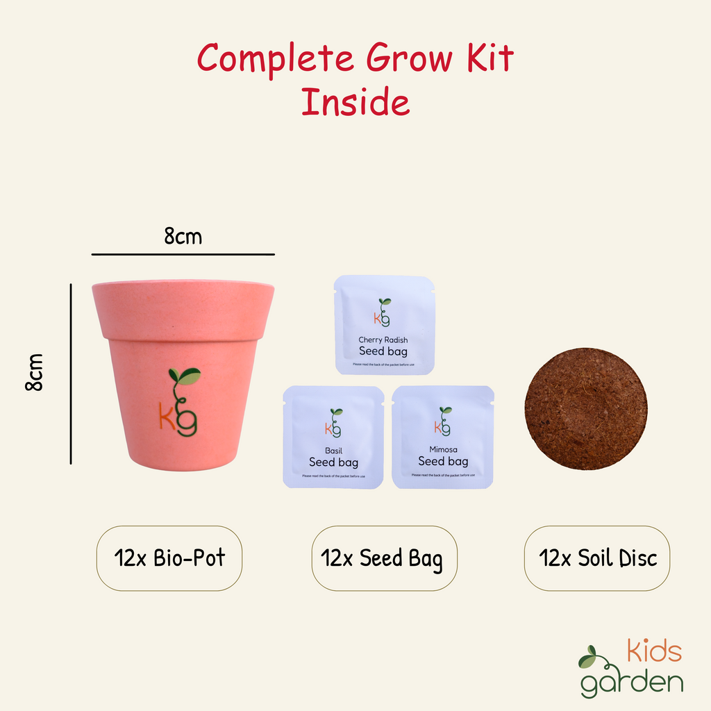 Kids Garden Party Pack (Box of 12)