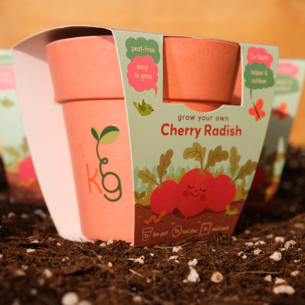 Kids Garden Party Pack (Box of 12)