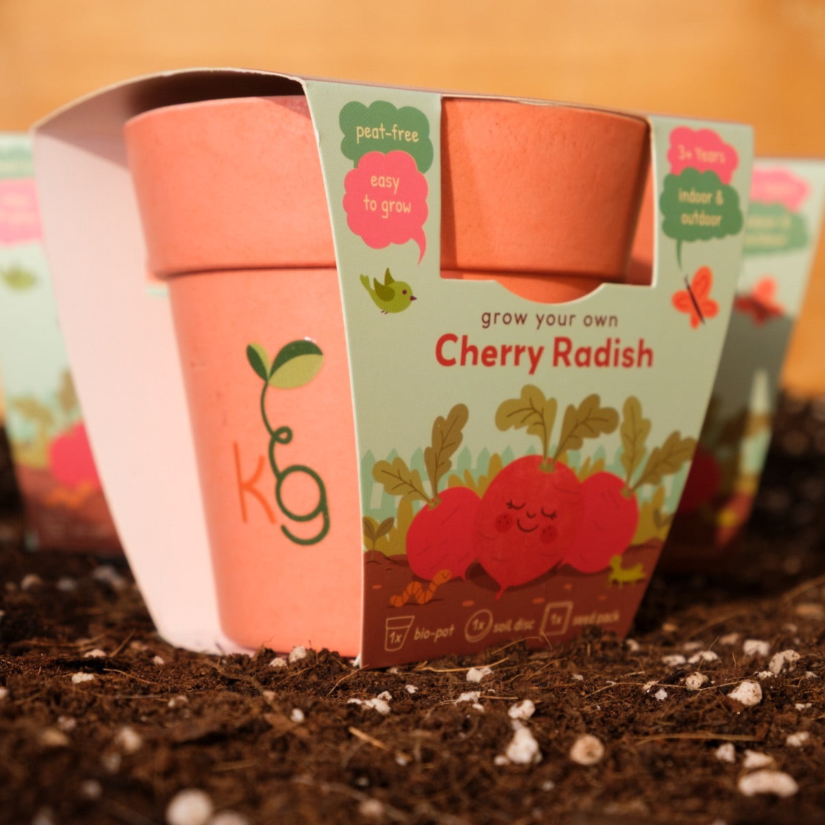 Kids Garden Party Pack (Box of 12)