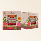 Cherry Radish Grow Kit