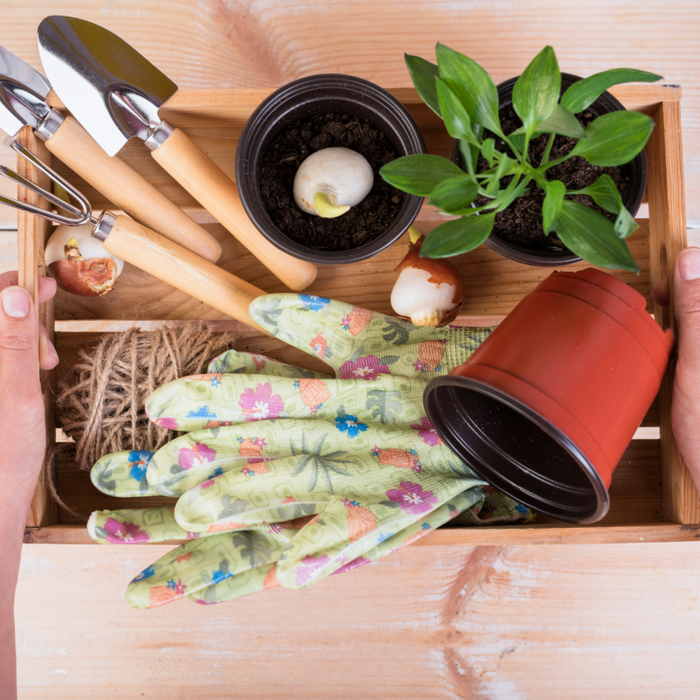 Classroom Gardening Ideas