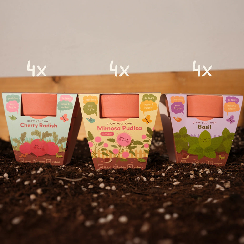 Kids Garden Party Pack (Box of 12)