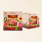Mimosa Grow Kit