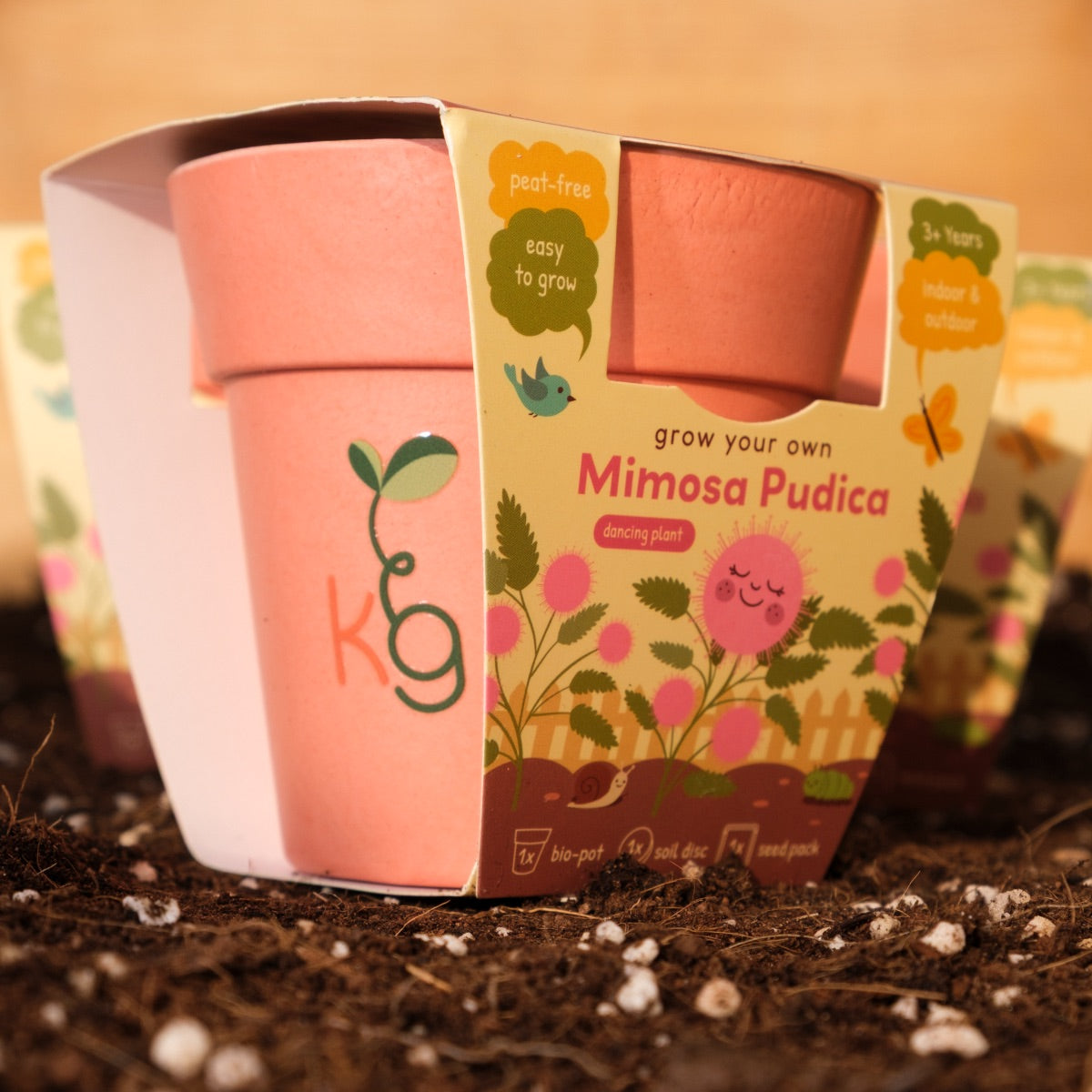 Kids Garden Party Pack (Box of 12)