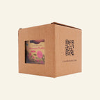 Mimosa Complete Grow Kit