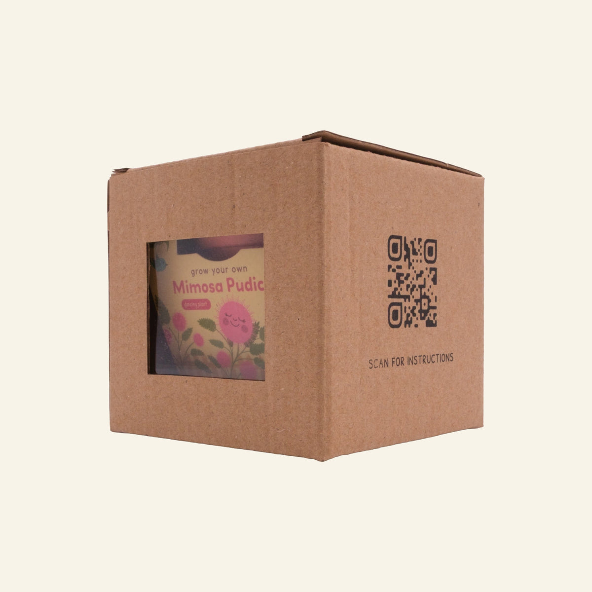 Individual Kids Garden grow kit in its kraft gift box