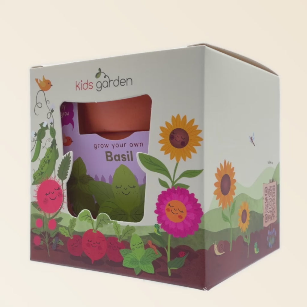 Basil Grow Kit