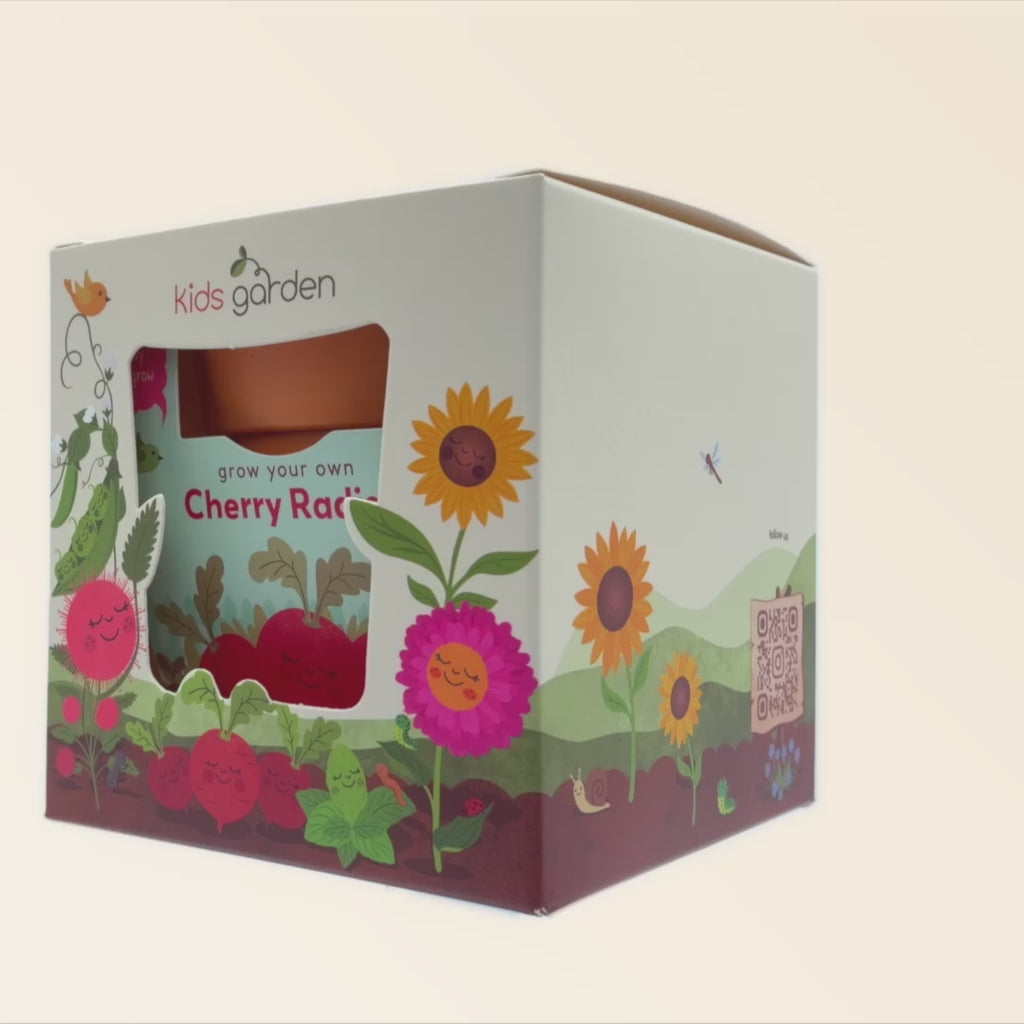 Cherry Radish Grow Kit