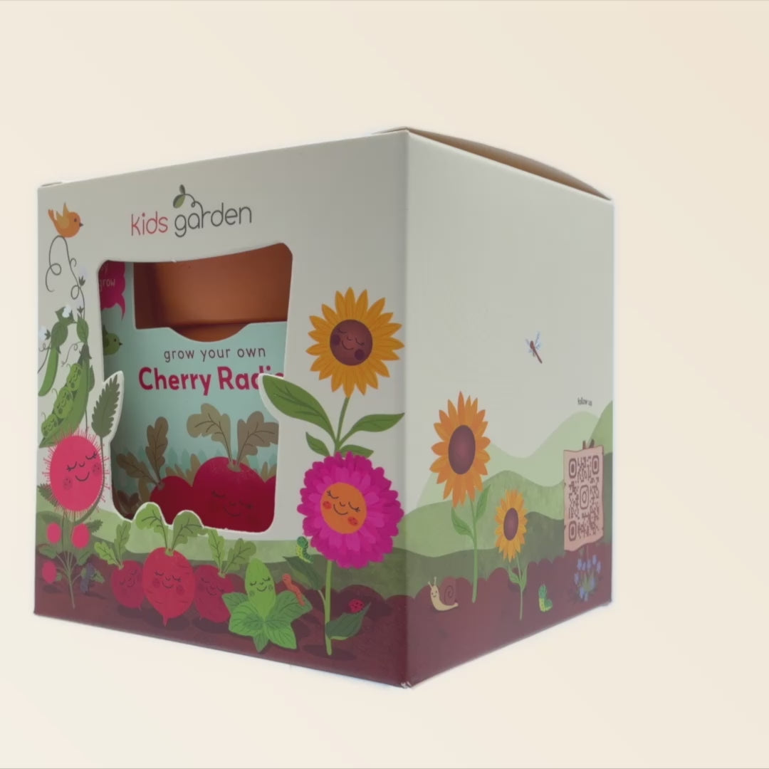 Cherry Radish Grow Kit