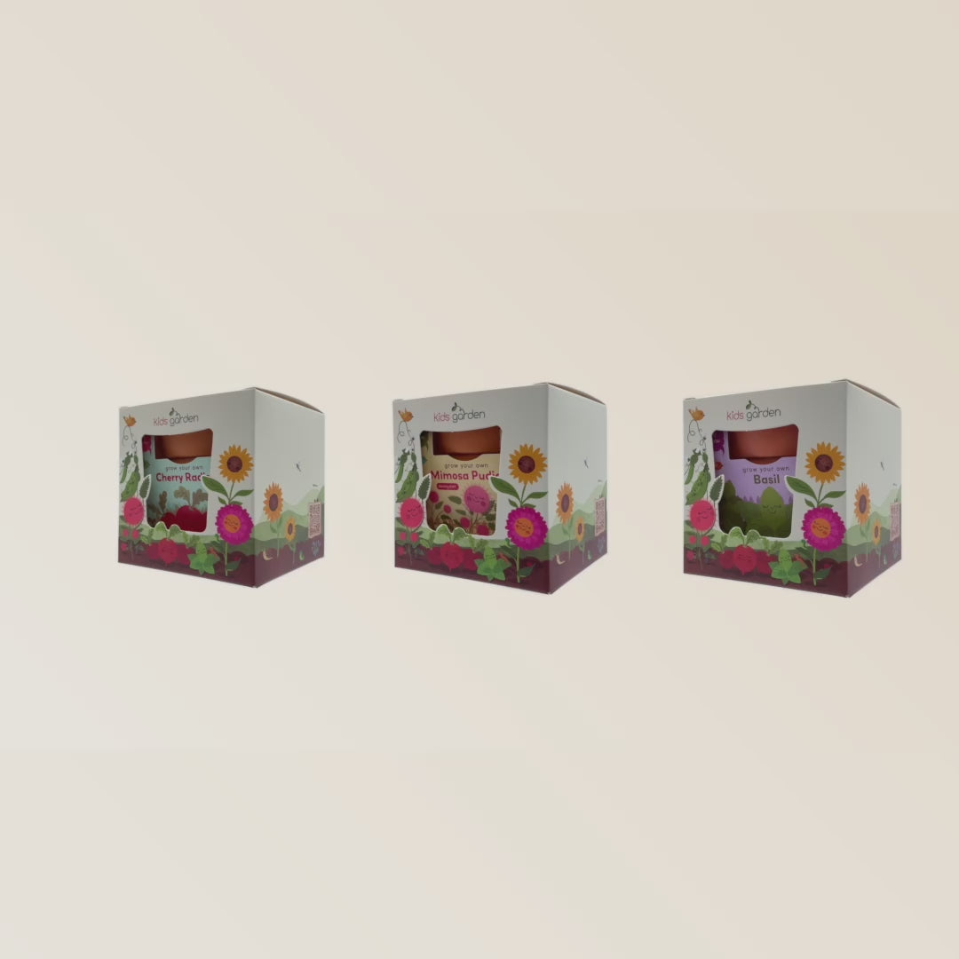 Kids Garden Party Pack (Box of 12)