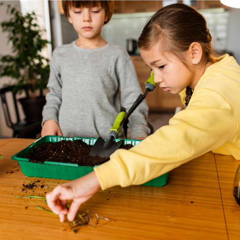 School Holiday Gardening Project