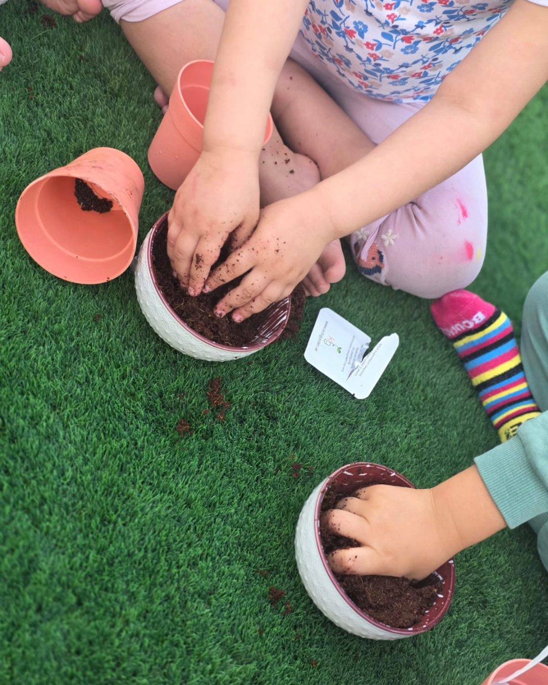 Kids Garden Party Pack (Box of 9)